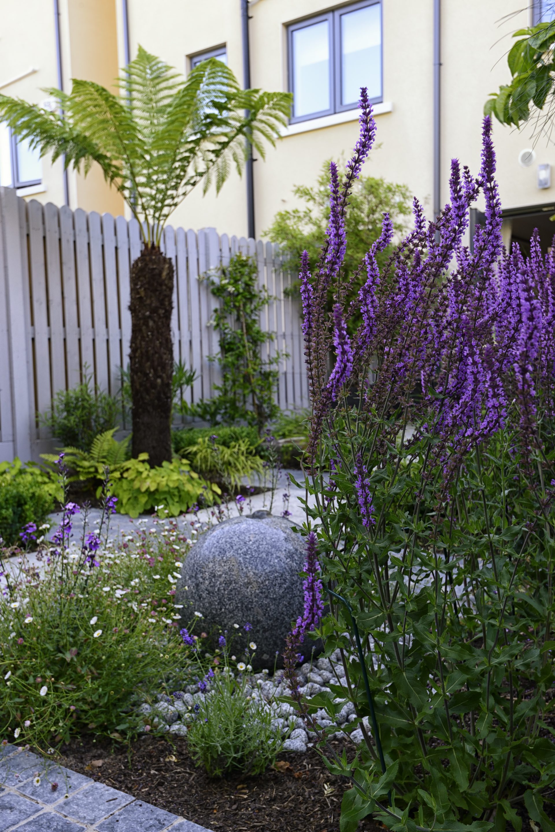 Town House Garden (Castleknock) 11